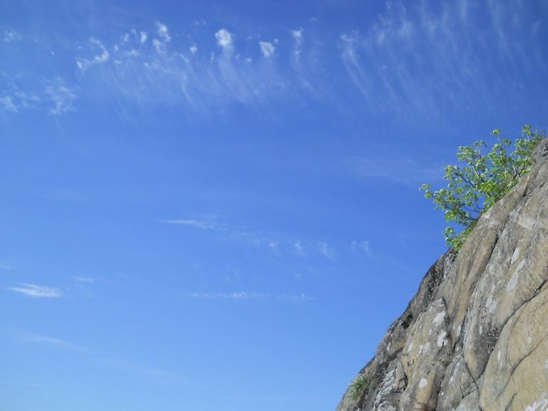 Cloudias painting